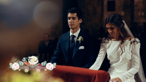 «Sí, estamos decididos» Vídeo de boda Valencia